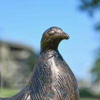 Close-Up of Recycled Cast Aluminium Bronze "Valorous" Rooster Sculpture
