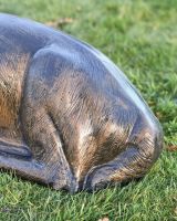 Close-up of the Detail on the Body of the Stag
