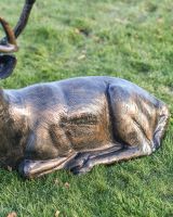 Close-up of the Brushed Bronze Finish on the Body of the Stag
