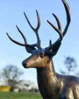 Lying stag sculpture Headshot Lying stag sculpture Headshot