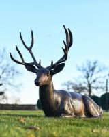 Lying stag sculpture main Lying stag sculpture main