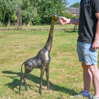 Scale Shot of Recycled Cast Aluminium Brushed Gold Giraffe Sculpture - 122cm