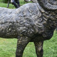 Close-Up of Brushed Gold Finish Close-Up of Brushed Gold Finish