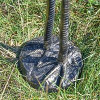 Close-Up of Integral Base Close-Up of Integral Base