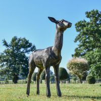 Recycled Cast Aluminium Brushed Gold Regal Doe Sculpture in Situ Recycled Cast Aluminium Brushed Gold Regal Doe Sculpture in Situ