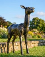 Recycled Cast Aluminium Brushed Gold "Regal" Doe Sculpture Digital Illustration