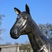 Close-Up of Horse Head on Recycled Cast Aluminium Brushed Gold Roached Horse Sculpture  Close-Up of Horse Head on Recycled Cast Aluminium Brushed Gold Roached Horse Sculpture