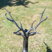 Close-Up of Antlers Attached to Buck Deer Sculpture Close-Up of Antlers Attached to Buck Deer Sculpture