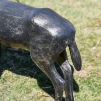 Close-Up of Deer Tail on Buck Sculpture Close-Up of Deer Tail on Buck Sculpture
