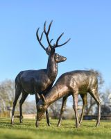 Recycled Cast Aluminium Stag & Doe Sculpture Set In Situ Recycled Cast Aluminium Stag & Doe Sculpture Set In Situ