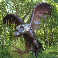Flying Eagle Sculpture Created out of Recycled Metal 