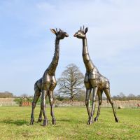 Recycled Metal Twin Giraffe Sculpture on Display Outdoors