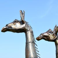 Close-up of the Heads of the Recycled Metal Twin Giraffe Sculpture
