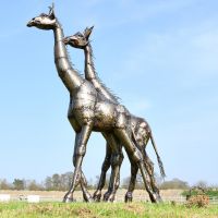 View of the Side of the Recycled Metal Twin Giraffe Sculpture