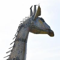 close-up of the Neck of the Recycled Metal Twin Giraffe Sculpture