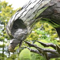 Close-up of the Detail of the Head of the Eagle