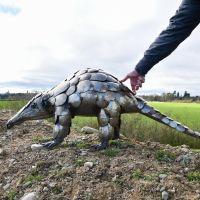 Recycled Metal Pangolin Sculpture to Scale