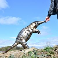 Recycled Metal Pangolin Sculpture to Scale