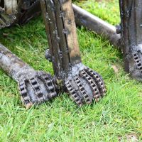 Close-up of the Feet on the Dog Sculpture
