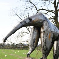 Recycled Steel Anteater Sculpture in Use in the Garden