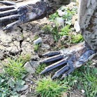 Close-up of the Feet on the Recycled Steel Anteater Sculpture