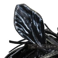 Close-up of the Horse"s Ear Close-up of the Horse"s Ear