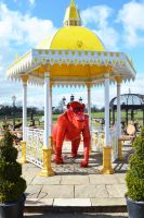 “Lord Greystoke” Stunning Silverback Gorilla “Lord Greystoke” Stunning Silverback Gorilla