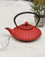 Red & Black Cast Iron "Ushirode Kyusu" Japanese Style Teapot in Situ