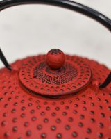 Close-Up of Red & Black Cast Iron "Ushirode Kyusu" Japanese Style Teapot