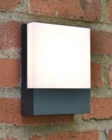 In situ photo of exterior wall light