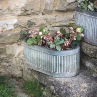 Ribbed Steel Traditional Oval Planter in Use Outdoors Holding Flowers