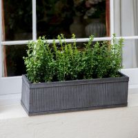 Ribbed Steel Window Trough Planter in Situ by a Window