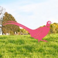 Pink Ring-necked Pheasant Silhouette in Situ  Pink Ring-necked Pheasant Silhouette in Situ