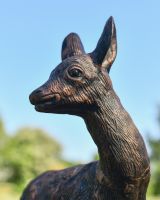 Close up of intricate face detail on deer garden statue Close up of intricate face detail on deer garden statue