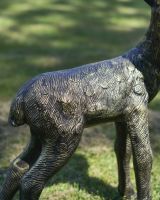 Close up of body detail on deer garden statue Close up of body detail on deer garden statue