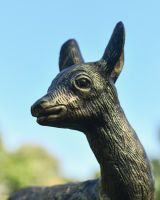 Close up of intricate face detail on doe garden sculpture Close up of intricate face detail on doe garden sculpture