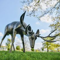 "Roe" Grazing Buck Sculpture in situ in the Garden