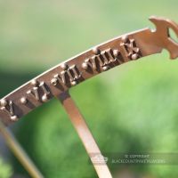 Roman Numerals inside the Armillary
