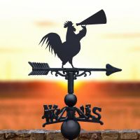 Rooster & Cone Weathervane