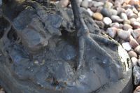 Cast Iron Black Rooster Sculpture Cast Iron Black Rooster Sculpture