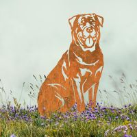 Rottweiler Silhouette in Situ