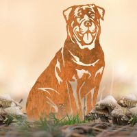 Rottweiler Silhouette Outdoors