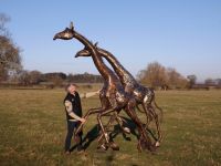 “Kingsburgh” Kordofan Giraffe Garden Sculptures 