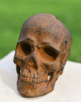 Front view of dark rustic skull