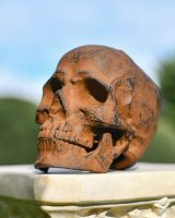 Low angle three quarter view of dark rustic skull