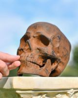 Scale image of dark rustic skull