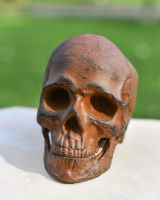 Front view of Rustic Skull