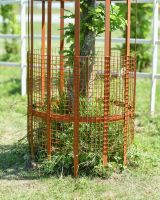 Close up of protective mesh detailing on rustic finish tree guard