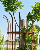 Close up of top detailing on wrought iron supportive tree guard