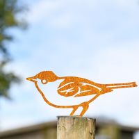 Rustic Blackcap Warbler Steel Fence Topper